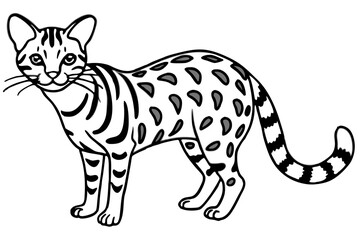 Elegant Margay Sketch