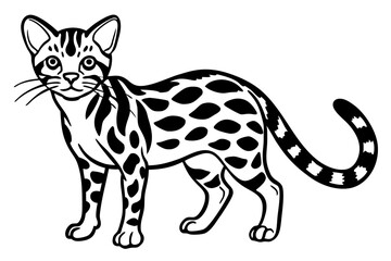 Elegant Margay Sketch