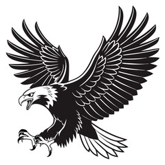 Fototapeta premium Powerful Black and White Eagle in Flight Design