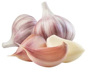 Garlic png. Garlic bulb with clove on white or transparent background. Perfect retouched garlic no background. Transparent png composition. Full depth of field.