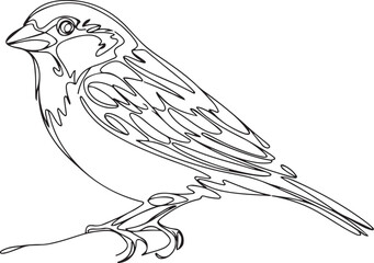 A beautiful vector illustration of a sparrow bird in a minimalist black linear sketch style perched calmly on a branch created with continuous line art isolated on white