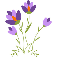Spring Flowers Illustration