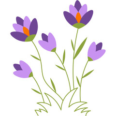 Spring Flowers Illustration