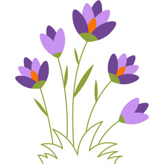Spring Flowers Illustration