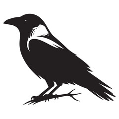 Crow bird Vector Black silhouettes, Simple Design vector icon with white background