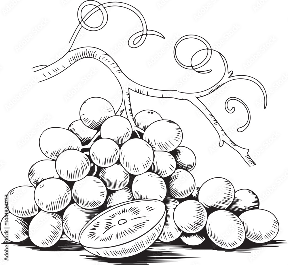 Poster a clean continuous line vector illustration of a bunch of grapes drawn in minimalist black line styl