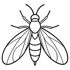 Firefly Outline Vector Design