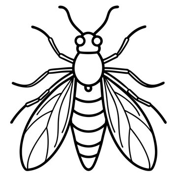 black and white insect outline clip art preview