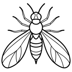 Firefly Outline Vector Design