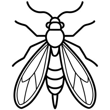 black and white insect outline clip art preview