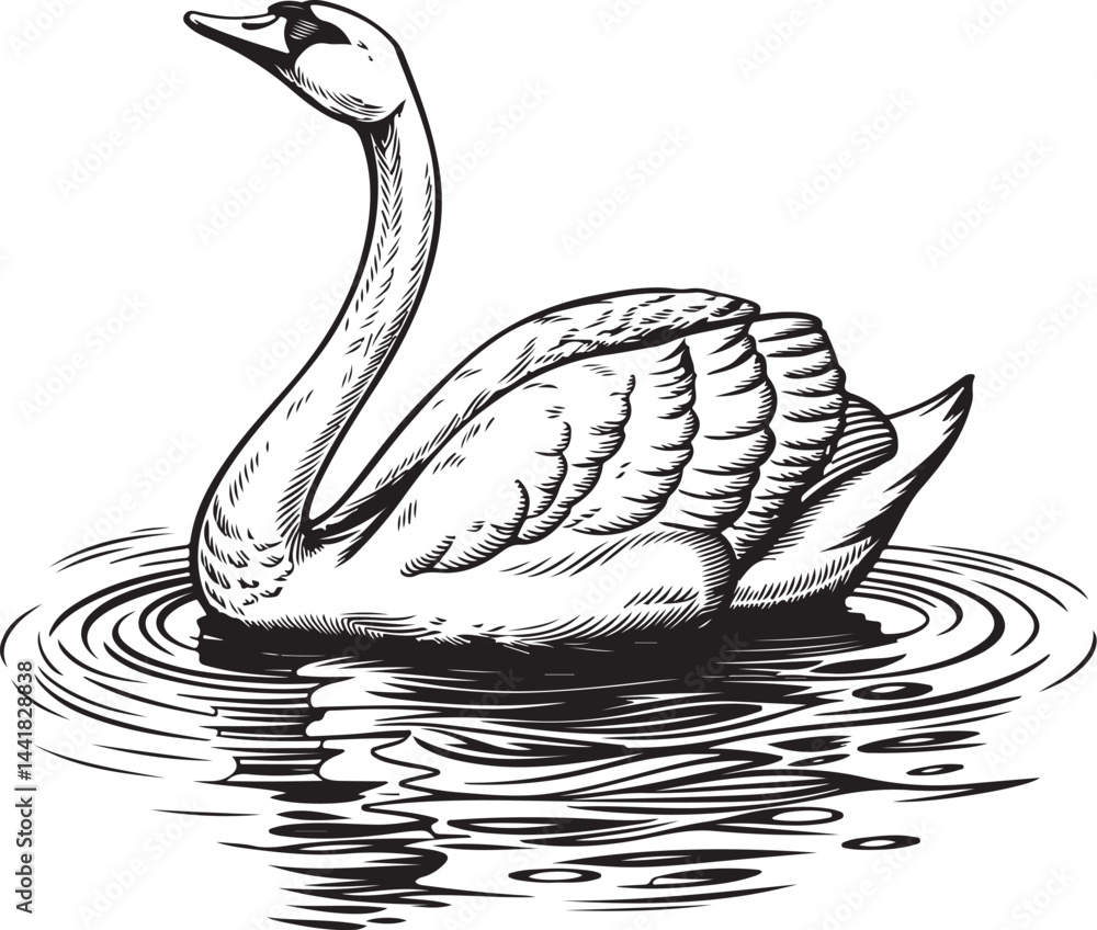 Poster a serene vector drawing of a swan bird on the water designed in continuous black line art style show