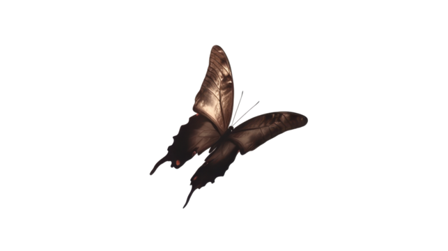 Dazzling Butterfly with Intricate Wing Patterns in Free Flight Against a Transparent Background