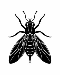 botfly silhouette  on white background