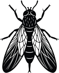 vector illustration of a bee