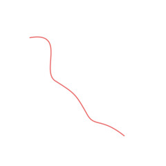 red curved line illustration