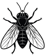 bee vector of  illustration