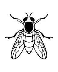 bee on white background