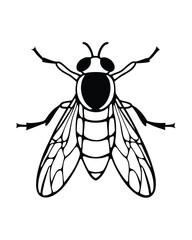 vector bee on white background