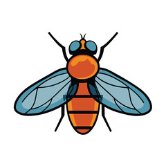 vector fly isolated on white background