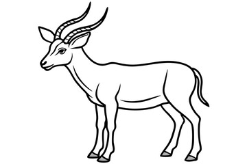Elegant Markhor Line Art