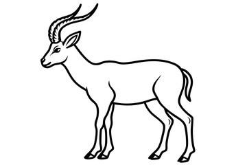 Elegant Markhor Line Art