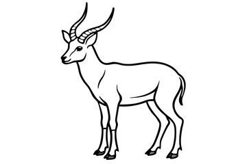 Elegant Markhor Line Art