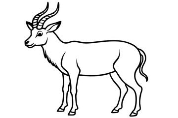 Elegant Markhor Line Art