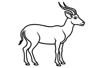 Elegant Markhor Line Art