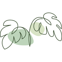 Aesthetic Tropical Leaf