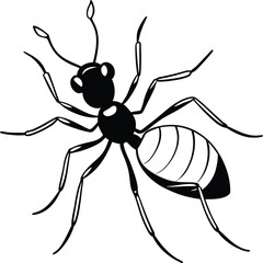 Clean and minimal black and white vector drawing of an ant, ideal for educational, scientific, or creative design uses.