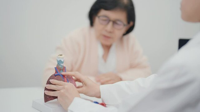 Doctor with Respiratory system. Elderly Patient consultation medical health for Lung Cancer, Asthma, Chronic Obstructive Pulmonary, Bronchitis, Emphysema, Cystic Fibrosis, Bronchiectasis, Pneumonia