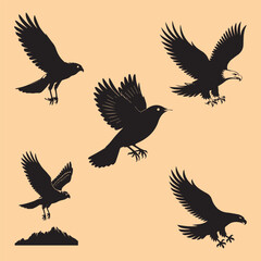silhouettes of birds