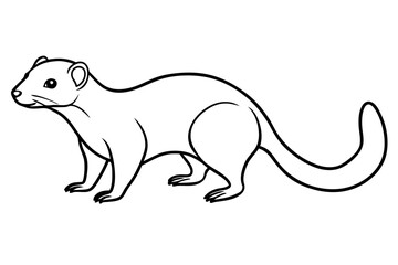 Elegant Mongoose Vector Sketch