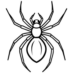 Simple Black Widow Spider Line Art Vector Design
