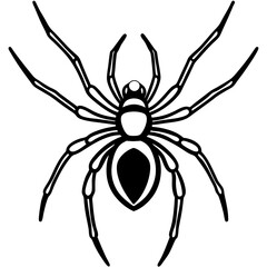 Simple Black Widow Spider Line Art Vector Design