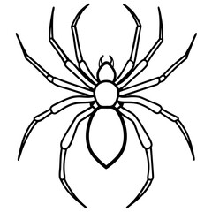 Simple Black Widow Spider Line Art Vector Design