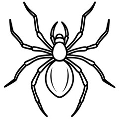 Simple Black Widow Spider Line Art Vector Design