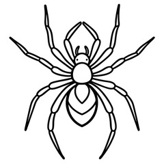 Obraz premium Simple Black Widow Spider Line Art Vector Design