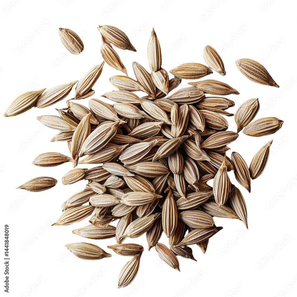 Poster a close-up view of a pile of canary seed showcasing their elongated shape and distinctive striped te