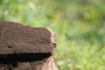 a wet wooden table with blurred background. for product presentation




