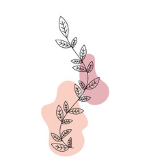 Aesthetic Floral with Blob