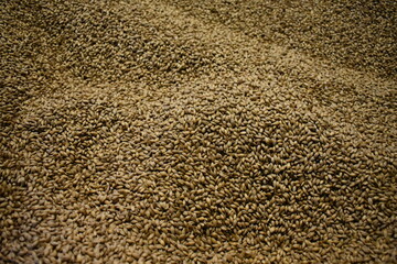 Whisky Distillery Machines – Crafting Scotch on Islay, Scotland