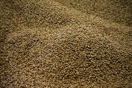 Whisky Distillery Machines &ndash; Crafting Scotch on Islay, Scotland