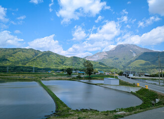 滋賀県米原市、初夏の伊吹山と水田