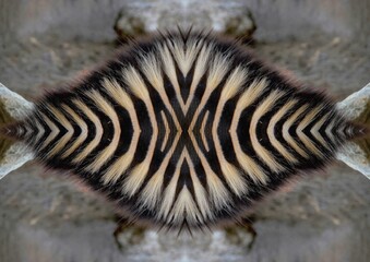 Image abstraite,kaléidoscope.