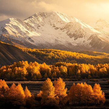 Among Ziarat&rsquo;s snowy mountains, golden autumn trees glow, casting the final warm breath of life before winter&rsquo;s embrace.