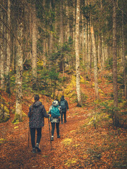 Fototapeta premium Family walking along a rocky forest trail near Kranjska Gora, Slovenia, surrounded by tall evergreen trees and mountain scenery.