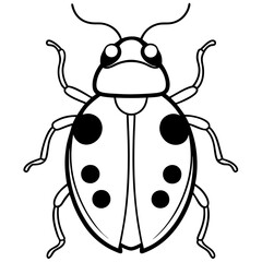 Simple Ladybug Line Drawing Vector