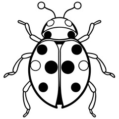 Simple Ladybug Line Drawing Vector