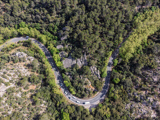 curve of the Esporlas road in es Bosquet, a forest of plane trees and holm oaks, GR221, Natural area of the Serra de Tramuntana., Majorca, Balearic Islands, Spain